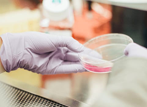 science recherche laboratoire