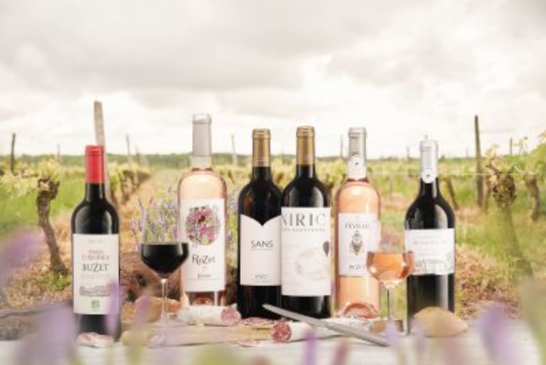 Bouteilles de vin