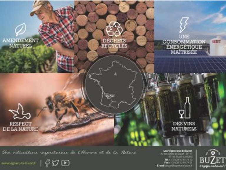 Les vignerons de Buzet