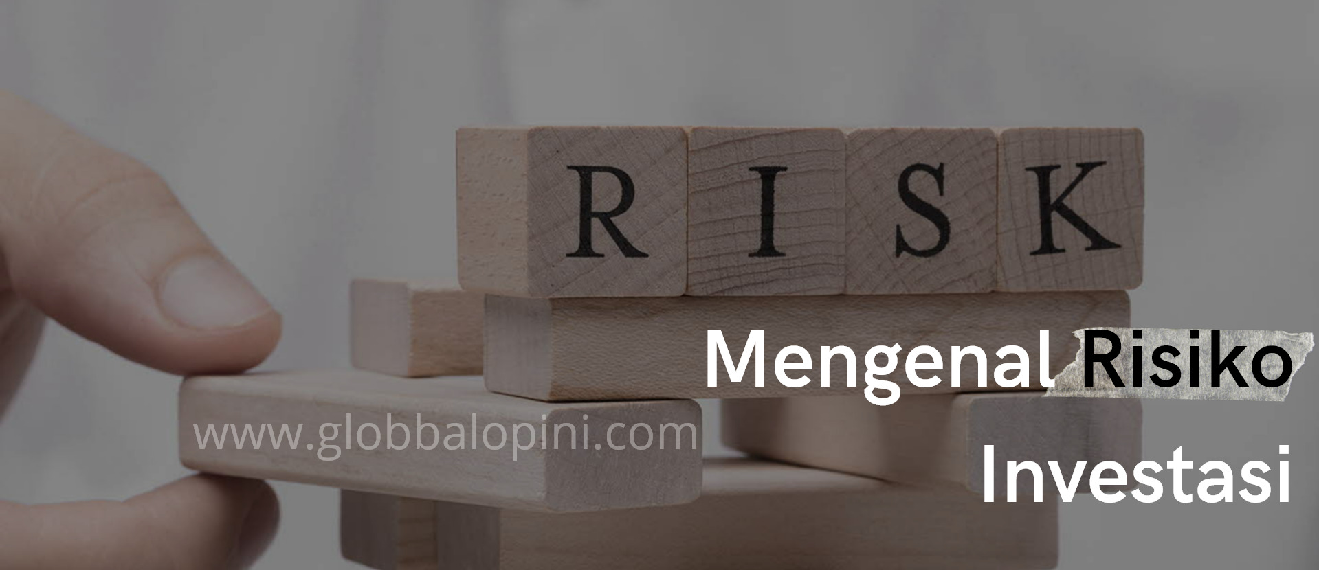 Risiko Investasi Pengertian Jenis Dan Cara Mengatasinya