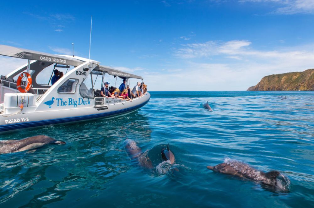 Book Adelaide Boat Trips