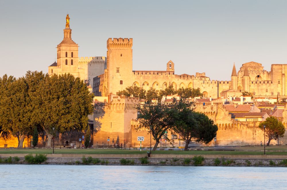 Tour y Cosas que hacer en Aviñón
