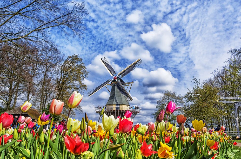 Keukenhof Gardens Tickets Amsterdam Best Offers Isango Com Keukenhof Gardens Tickets Amsterdam Best Offers Isango Com