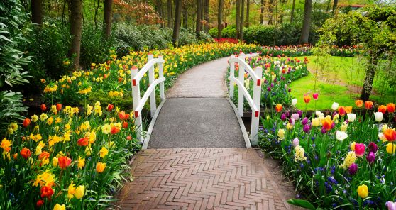 Keukenhof Gärten Tickets Amsterdam Beste Angebote isango.de