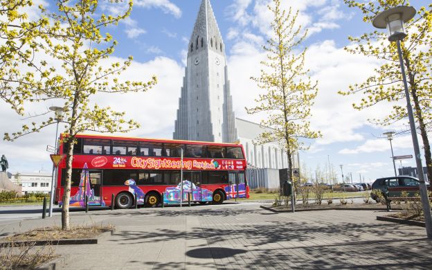 Tham quan thành phố Reykjavik Hop-On, Hop-Off & Bảo tàng cá voi Iceland