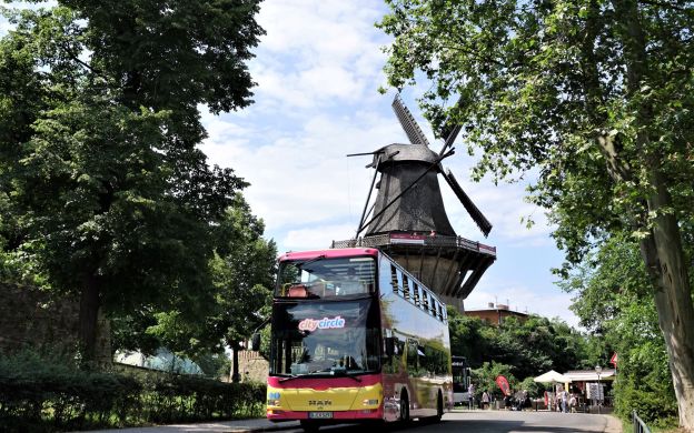 City Circle Potsdam Hop-On, Hop-Off Tour- 24 Hours