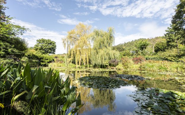 Monet's Gardens in Giverny Half-Day Private Tour from Paris, with Guide