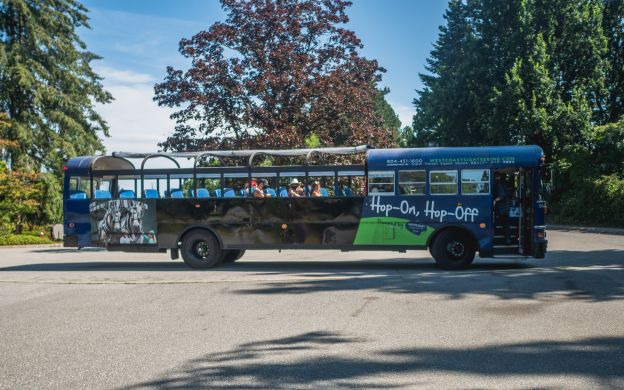 Gray Line West Coast Sightseeing Vancouver Hop-On, Hop-Off Tour and Vancouver Lookout