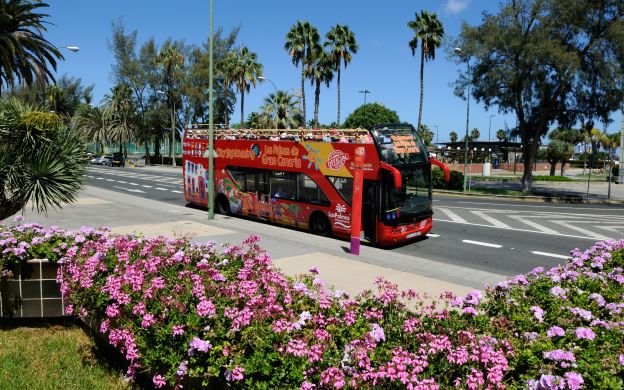 Combo Tham quan Thành phố Las Palmas Hop-On, Hop-Off, Đi bộ & Điểm tham quan