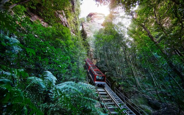 Tour trọn gói tham quan Blue Mountains trong ngày từ Sydney