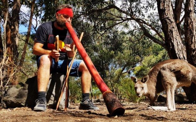 A tourist enjoys the Bellarine Peninsula, accompanied by a wild animal, immersed in the beauty of nature and wildlife.