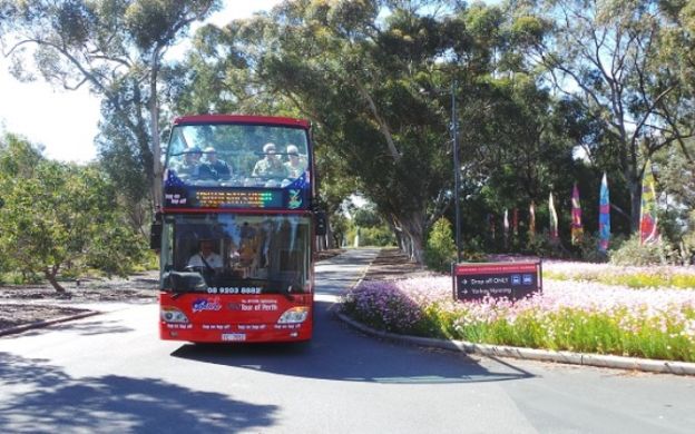 City Tours Perth and Kings Park: Hop-On, Hop-Off Tour