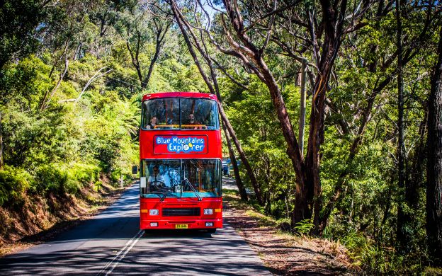 Thẻ Lyrebird: Thẻ Blue Mountains Hop-On, Hop-Off và Scenic World Rides