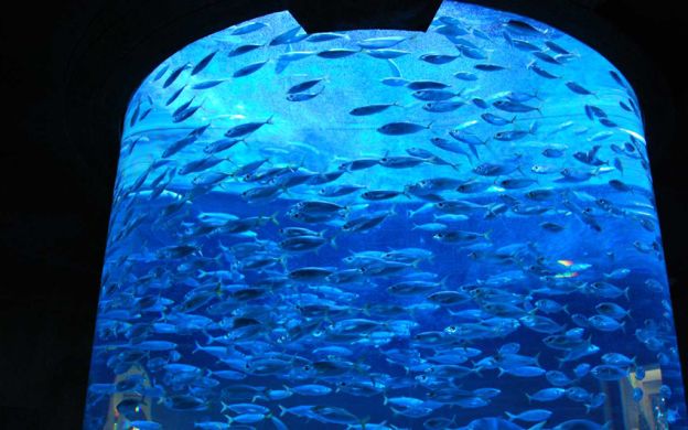 Atlantis Aquaventure