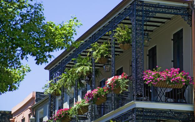Garden District Walking Tour In New Orleans