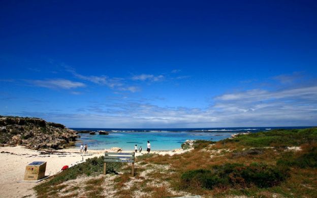 Rottnest Island Tour with Ferry and Coach Transfers