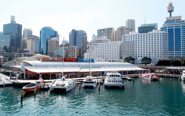 Harbour Highlights Cruise