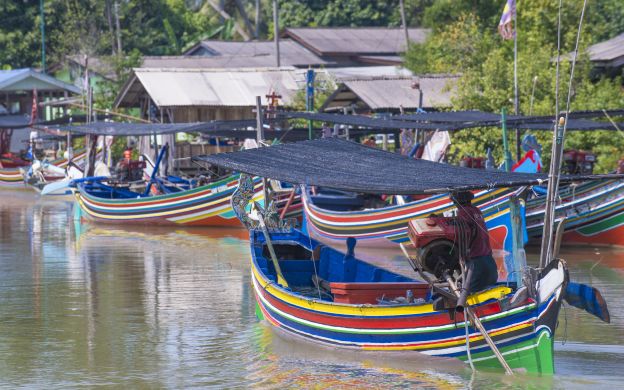 Kuala Selangor Tour: Firefly Experience, Seafood Dinner ...