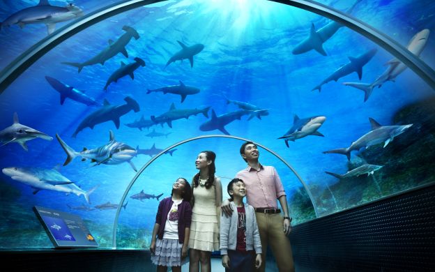 S.E.A. Aquarium™ Day Pass With Optional Hotel Pickup