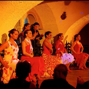 FlamencoShows