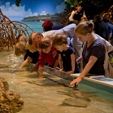 NewEnglandAquarium