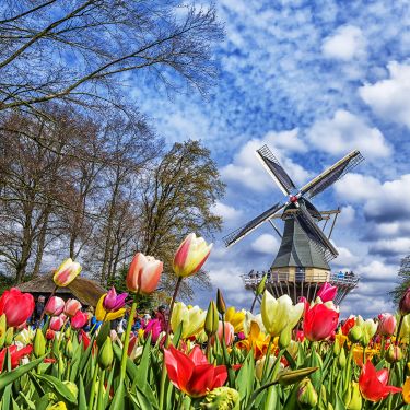 Keukenhof