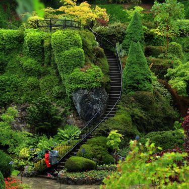 ButchartGardens