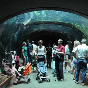 CaliforniaAcademyofSciences