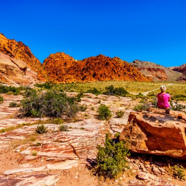 RedRockCanyon