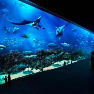 S.E.A.Aquarium