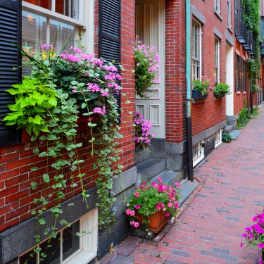 FreedomTrail