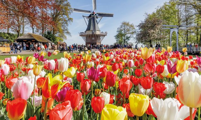 Keukenhof Admission with Transfers and Cruise