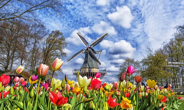 Keukenhof Gardens Admission E-Ticket
