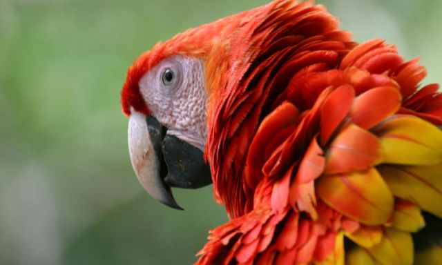 15 Days / 14 Nights: Guided Tour Beaches Nature with Tambor - From Guanacaste