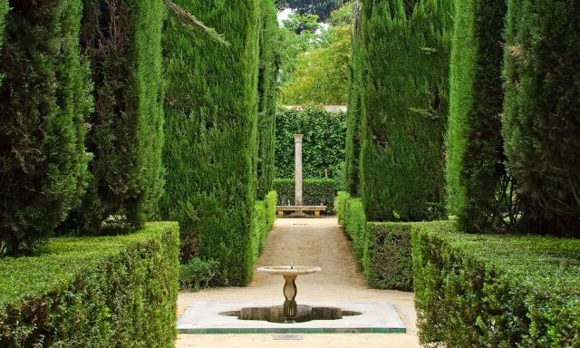 Seville Alcazar & Cathedral Tour