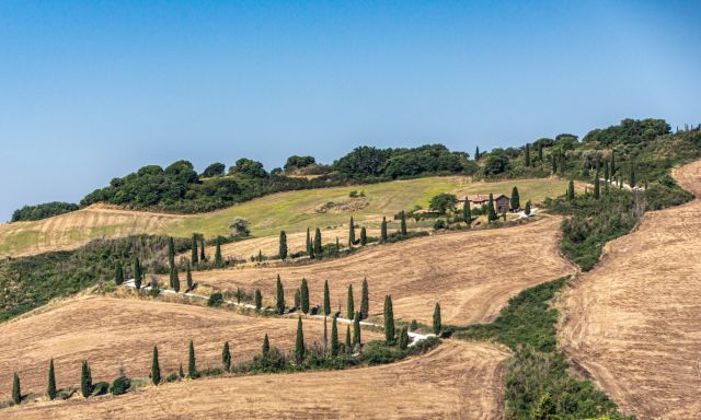 Chianti Classico, Montalcino, Montepulciano: day Trip from Florence by minivan