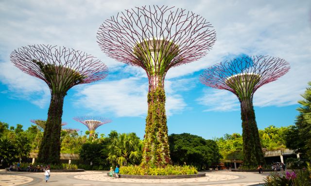Gardens By The Bay Private Tour