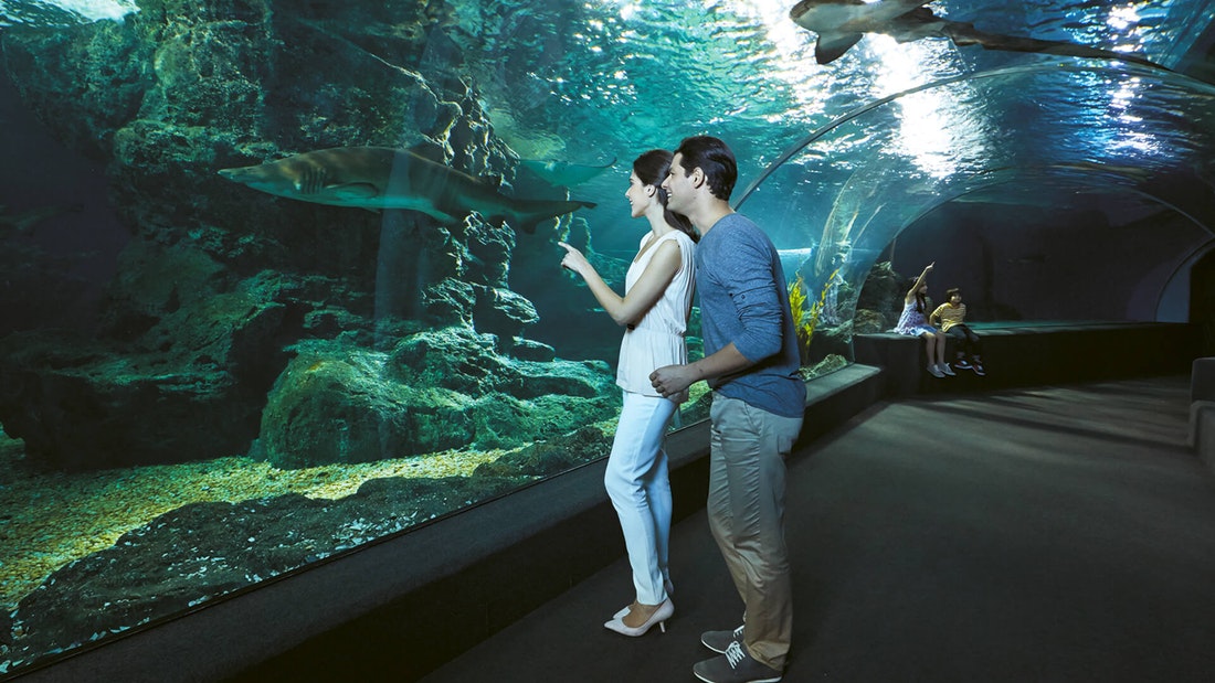 От воды до воска: Комбинированный билет SEA LIFE Bangkok Ocean World и музея Мадам Тюссо