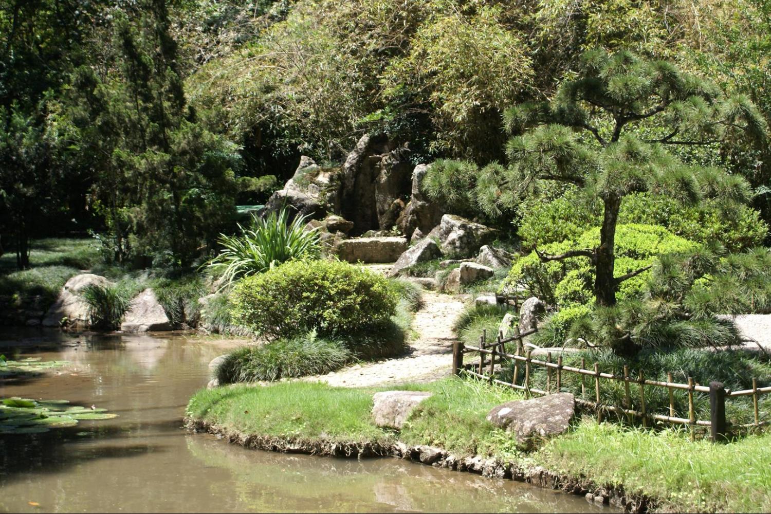 Yağış Meşəsi Jeep Macərası və Botanik Bağ Turu: Rio-de-Janeyro