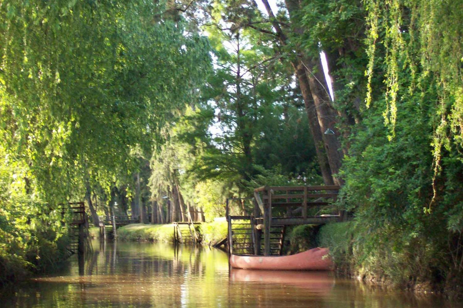 Sail away from Buenos Aires - Tigre Premium with boat ride from Puerto Madero