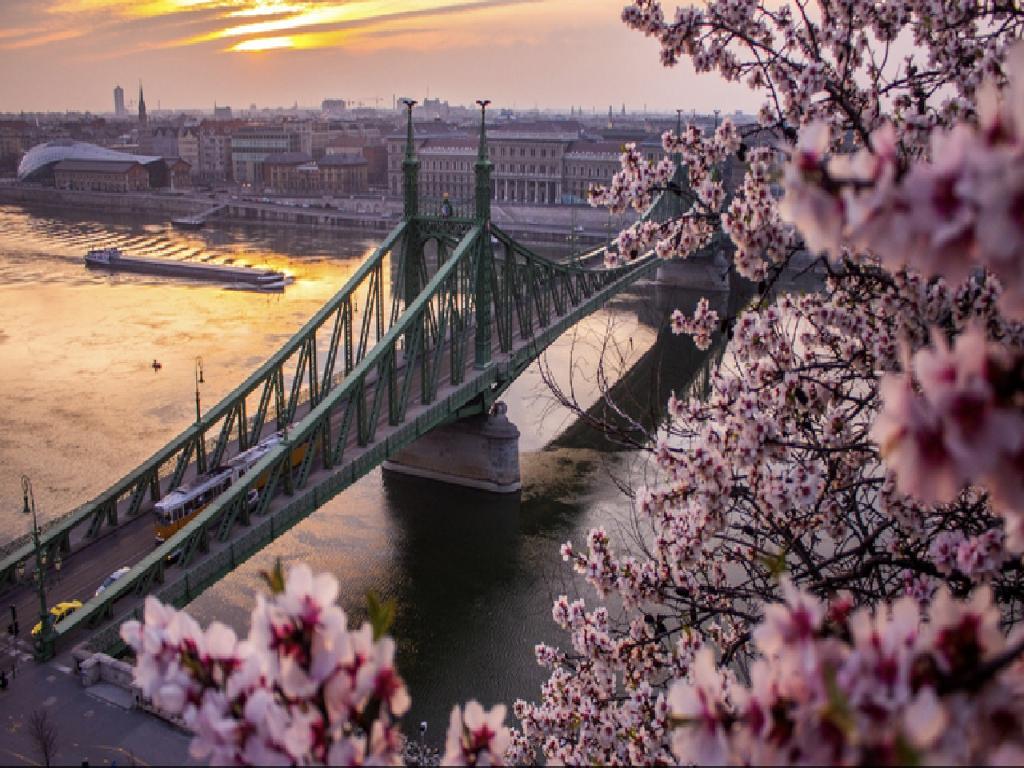 Private Sightseeing Tour of Budapest