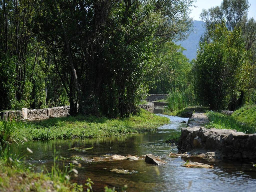 Konavle Tam Günlük – Şəxsi Tur