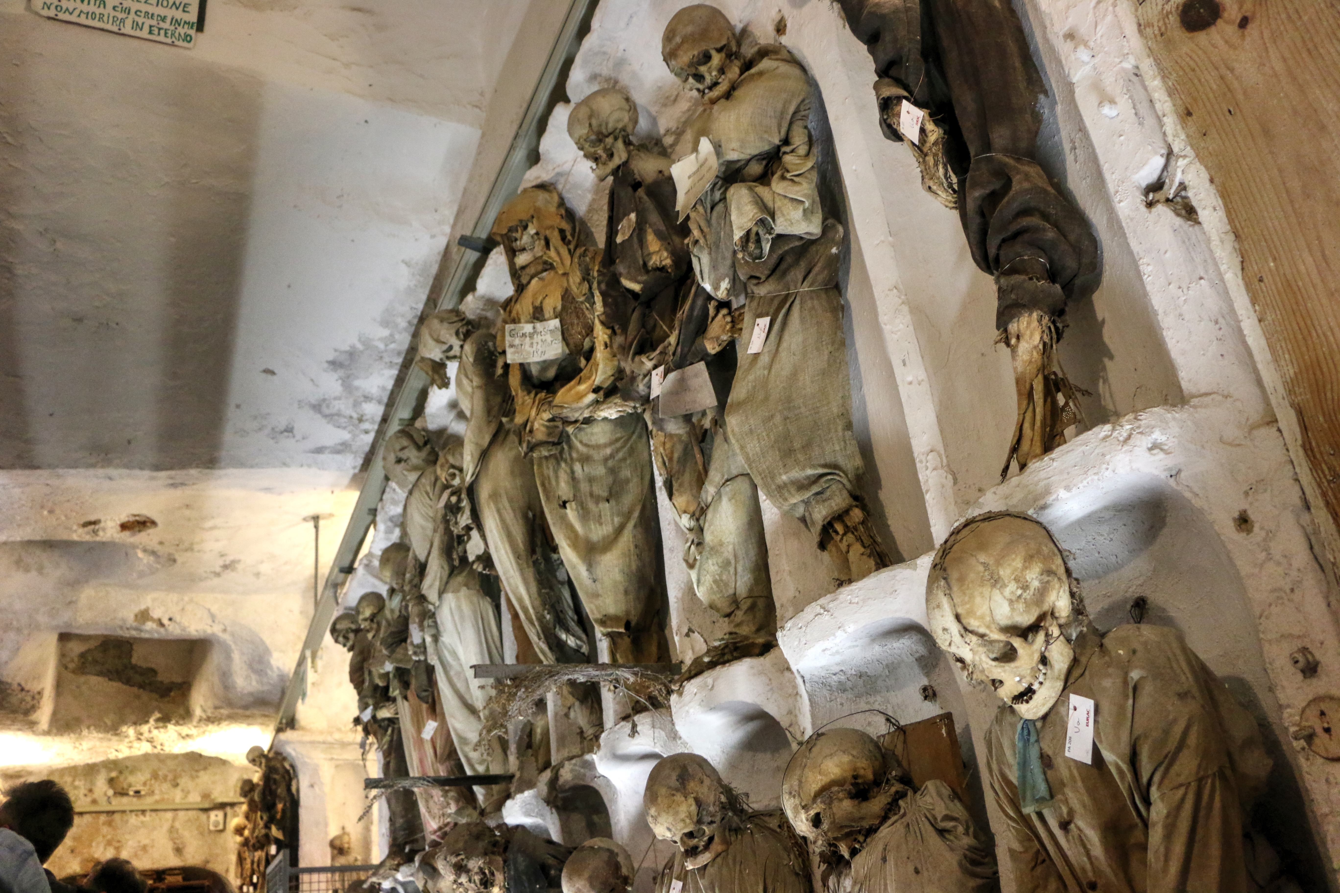 The Catacombs Tour with VIP Return Transfers from Rome