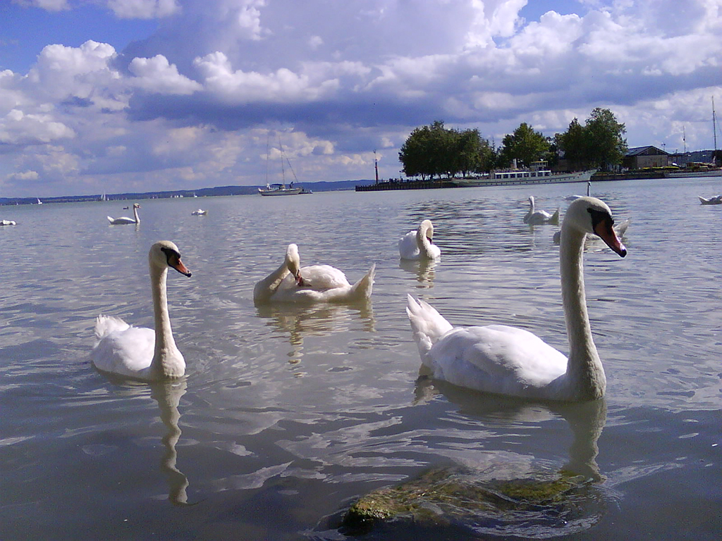 Lake Balaton and Herend Porcelain Manufactory from Budapest