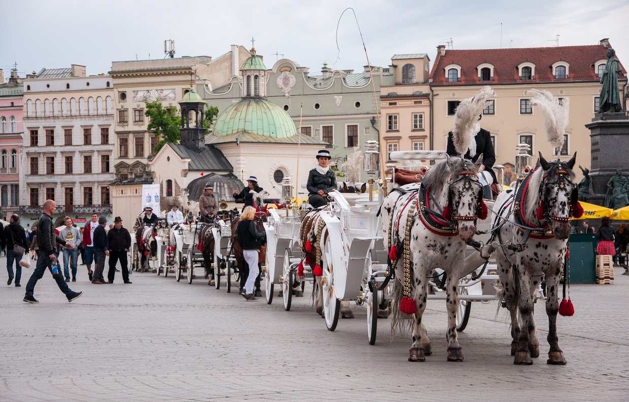 A Day in Krakow - Tour from Warsaw