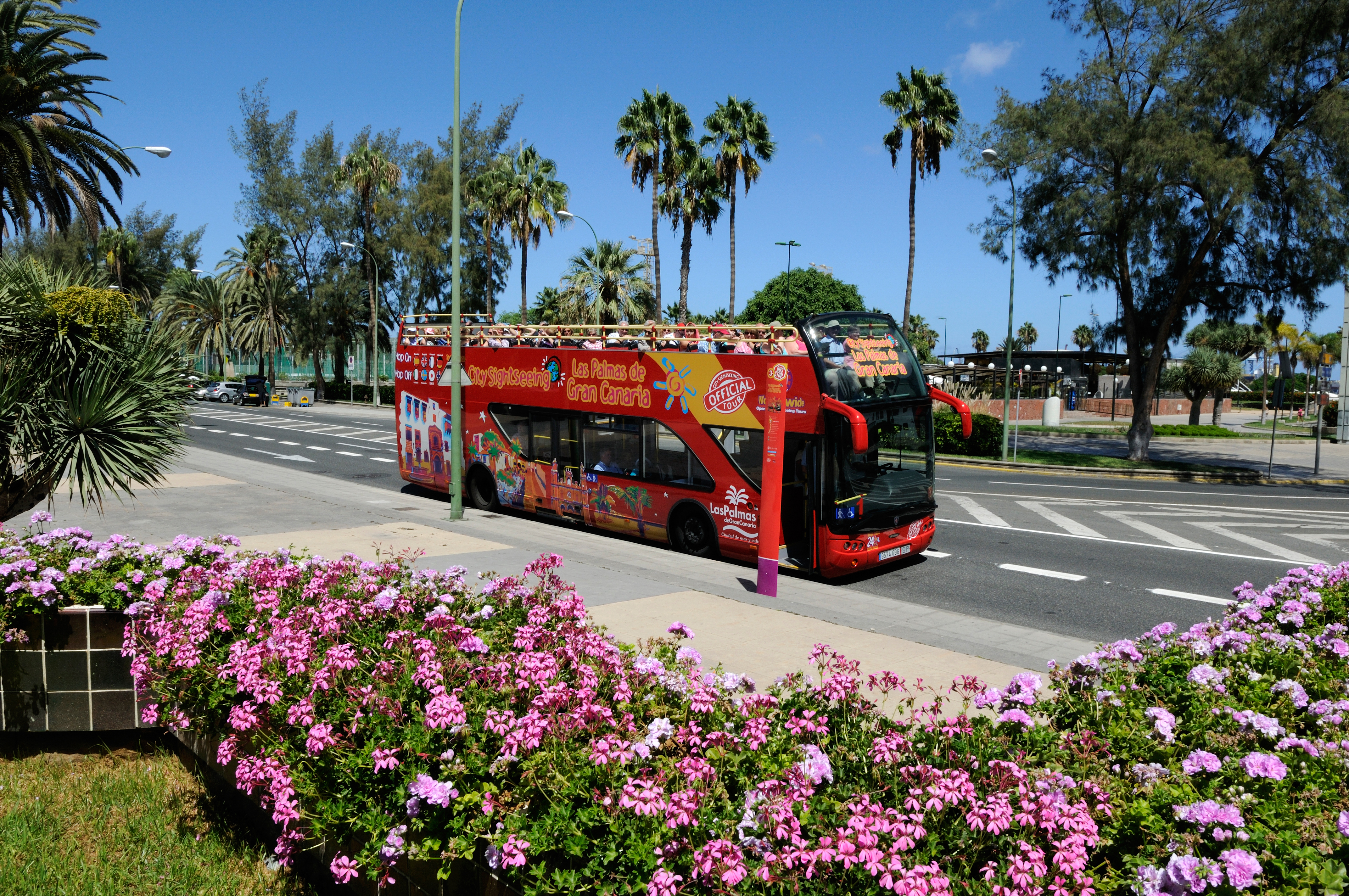 City Sightseeing Las Palmas Hop-On, Hop-Off, Walking Tours & Attractions Combo