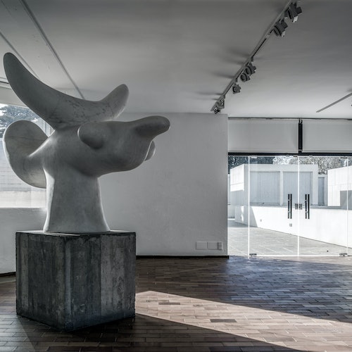 Skip-the-Line Fundació Joan Miró Admission Ticket