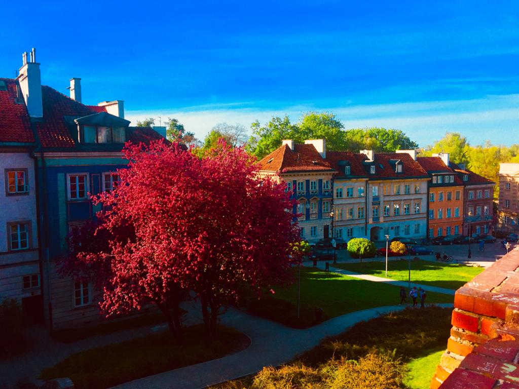 Highlights Of Warsaw - Half Day