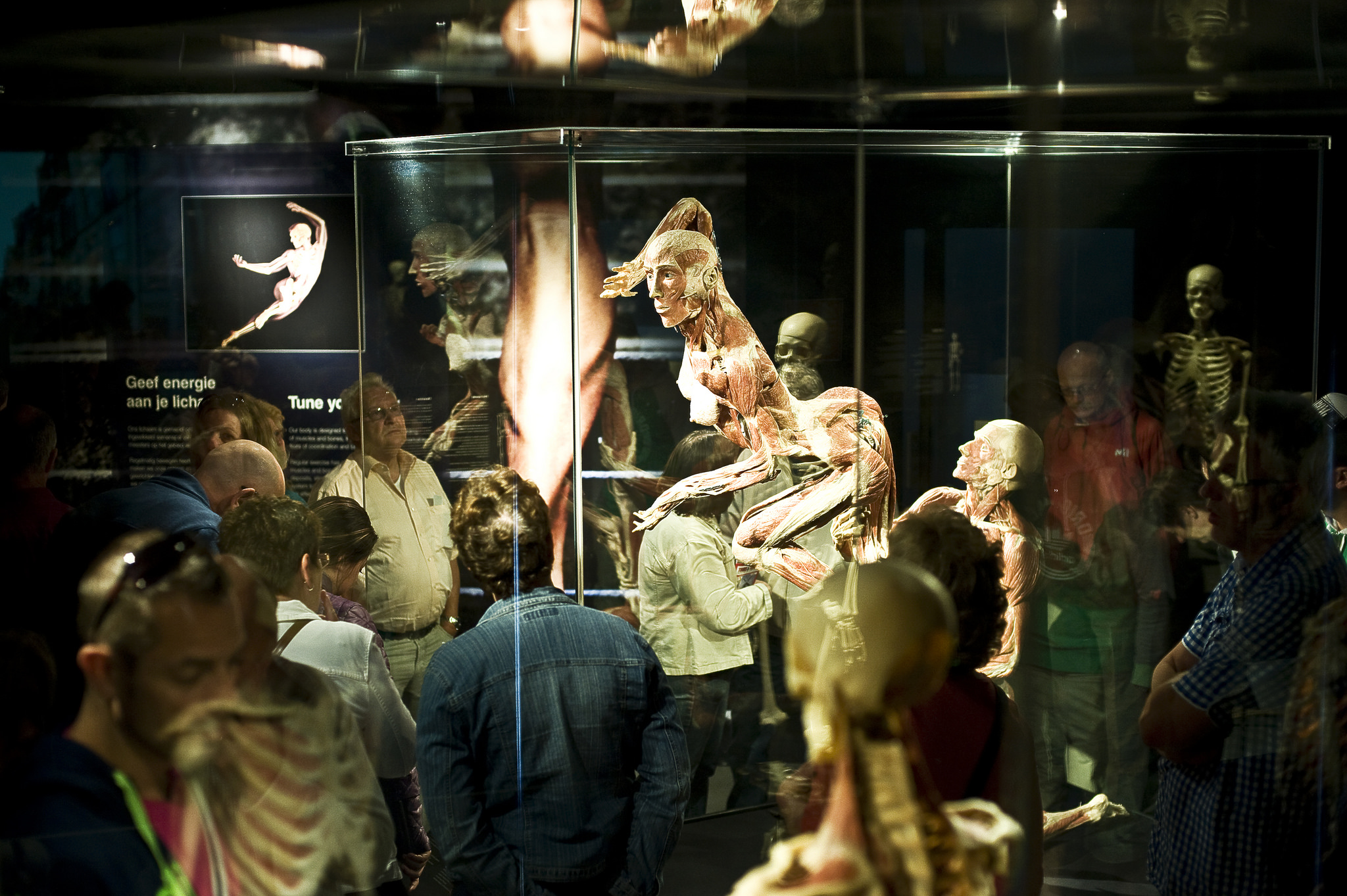 Növbəsiz Body Worlds Amsterdam Biletləri