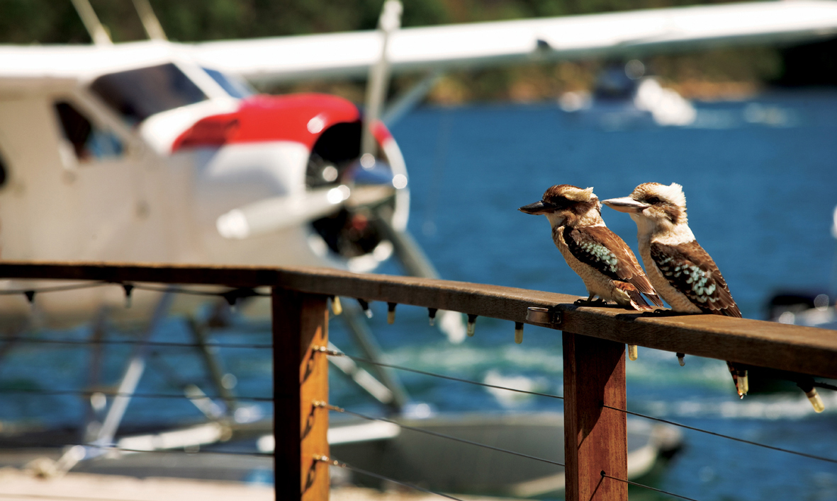Cottage Point Inn – Sydney-dən Seaplan ilə